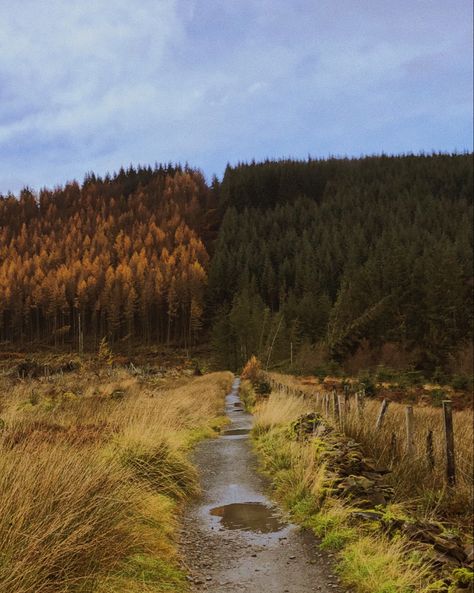 Images For Collage, Landscape Autumn, Traveling Photography, What Makes Me Happy, World Nature, Scotland Highlands, Scottish Landscape, Winter Walk, Summer Family