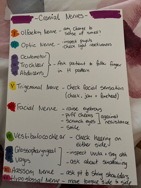 Cranial Nerves Assessment, Cranial Nerve Assessment, Cranial Nerves How To Remember, 12 Cranial Nerves Mnemonic, Slp Praxis, Cranial Nerves Function, 12 Cranial Nerves, Pharmacy Notes, Neuro Nursing