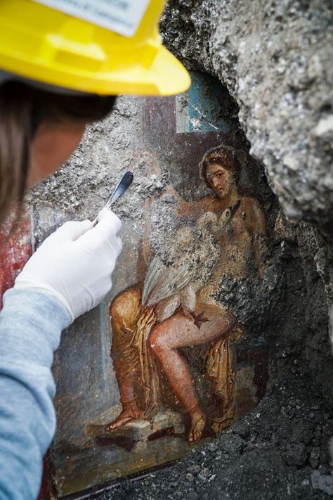 12 Crucial Archaeology Findings of 2018 Ancient Pompeii, Swan Art, Swans Art, Pompeii And Herculaneum, Empire Romain, Human Body Parts, Archaeological Discoveries, Greek Myths, Ancient Artifacts