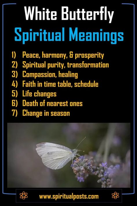 seeing-white-butterfly-spiritual-meaning-symbolism White Butterfly Symbolism, Butterfly Significance, White Butterfly Meaning, Butterfly Symbolism, Butterfly Meaning, Animal Meanings, Color Symbolism, Healing Magic, Queen Aesthetic