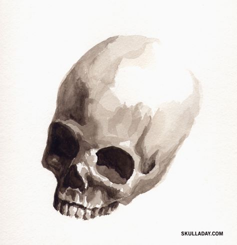 beautiful skull painting. Watercolour Skull, Halloween Watercolor Art, Art App, Halloween Watercolor, Watercolor Portrait Painting, Flashback Friday, Procreate Art, Art Apps, Skull Painting