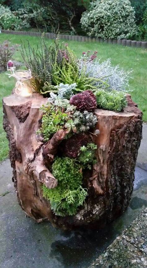 Cheap Landscaping Ideas, Succulent Planter Diy, Beautiful Home Gardens, Succulent Garden Diy, Garden Ideas Cheap, Easy Landscaping, Succulent Gardening, Garden Deco, Have Inspiration