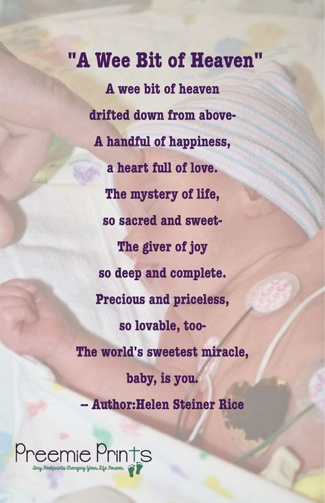 A Beautiful Baby Poem! New Baby Poem, Baby Prayers, Baby Poems, New Baby Quotes, Baby Shower Quotes, Shower Quotes, Congratulations Quotes, Prayer For Baby