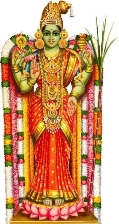 Parvati Mata, Art Tarot Cards, Folk Art Indian, Folk Art Paintings, Murugan Wallpapers, Painting Indian, Oil Painting Tips, Art Oil Paintings, Lord Rama Images