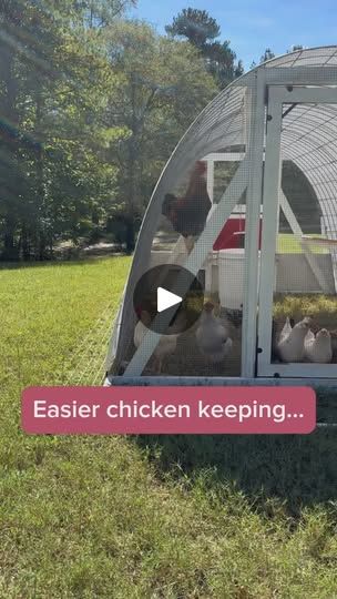 51 reactions · 39 comments | Easier chicken keeping starts here ⬇️

💪🏻Easily moveable to fresh grass
🛠️DIY inexpensive wheel system
👍🏻Hanging food + water
🐓Tons of roosting space 
🥚Exterior access nesting box + DIY rollout option
💲Plus, it’s budget friendly! 

Build videos and blueprints are designed to save you time, money, and frustration. 

💬 Comment “blueprint” to grab yours + get started!
*Be sure to hit follow first so you can receive the link!*

🐓Follow @CottonRiverFarm for easy homesteading and chicken keeping tips!

See you on the farm!
- Natalie

#hoopcoopchickens #backyardchickens #cottonriverfarm #hoopcoop #homesteadmama #sustainableliving #BudgetChickenCoop #ChickensOnABudget #homesteadlife #farmlifeisthebestlife #farmlife #chickenkeeper #raisingchickens #homegrown # Hoop Coop, Nesting Boxes Diy, Easy Homesteading, Chicken Keeping, Winter Hacks, Nesting Box, Diy Chicken, Georgia Usa, Box Diy