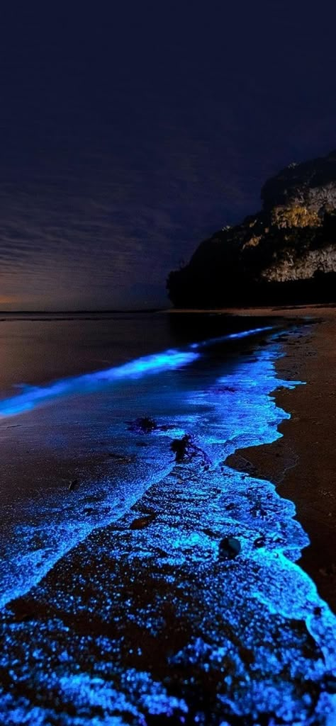 Glowing Beaches, Pandora Wallpaper, Creepy Backgrounds, 4k Images, Ocean At Night, Abstract Art Images, Sparkle Wallpaper, Guru Pics, Blue Wallpaper Iphone