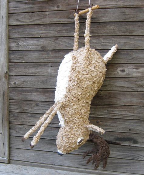 Deer pinata Hunter Birthday Party Ideas, Hunting 2nd Birthday Party, 2nd Birthday Hunting Theme, Old Buck Birthday Party, Deer Pinata, Deer Hunting First Birthday Party, Hunting Themed Birthday Party, Deer Hunting Party, White Tail Buck