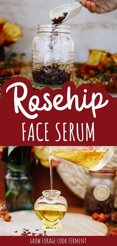 Try this rosehip face serum for a nourishing and revitalizing skincare experience. Made from wild-harvested rose hips, this serum is rich in vitamin C and anti-inflammatory properties, ideal for dry winter skin. Find more winter wellness, vitamin c benefits for skin, herbal face serum recipes, and Herbal Oil Recipes at growforagecookferment.com. Homemade Vitamin C Serum Recipes, Homemade Face Serum Recipes, Herbal Oil Recipes, Rosehip Recipes, Face Serum Recipe, Serum Recipe, Medicine Recipes, Herbal Skincare, Healing Salve