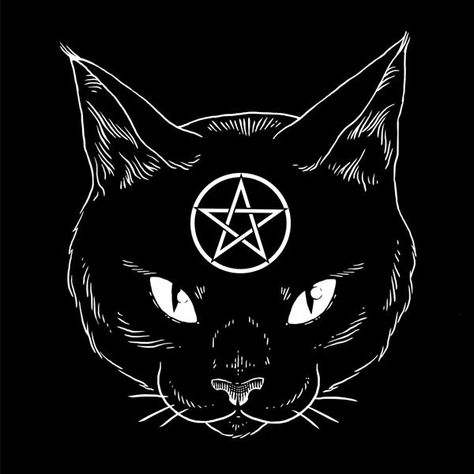 CatCoven A Black Cat, Coven, A Black, Black Cat, Queen, History, White, Black