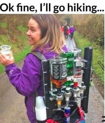 Alcohol Funny, Drinking Games For Parties, Country Jokes, Alcohol Humor, Wine Mom, Funny Scenes, Morning Humor, Sarcastic Quotes Funny, Go Hiking