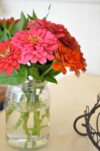 Zinnia flowers in jar vase Zinnia Bouquet, Recycled Jars, Making Plant Pots, Zinnia Flowers, Flowers In Jars, Diy Crafts For Adults, Flower Display, Spring Blooms, Summer Flowers