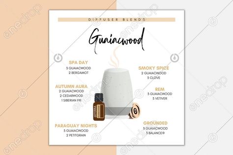 Panaway Diffuser Blends, Agarwood Essential Oil Blends, Abode Diffuser Blends Doterra, Onguard Diffuser Blends, Guaiacwood Diffuser Blends, Doterra Diffuser, Doterra Diffuser Blends, Essential Oil Diffuser Recipes, Oil Diffuser Recipes