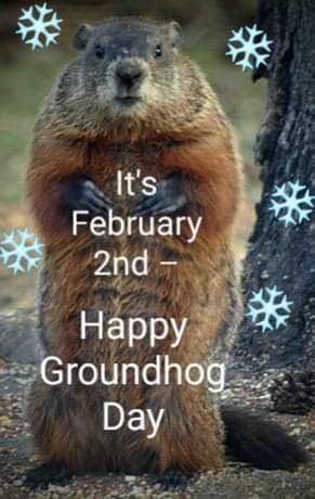 Groundhog Day Happy Ground Hog Day Funny, Good Morning Groundhog Day, Ground Hog Day Funny Humor, Happy Groundhog Day Humor, Happy Groundhog Day Images, Groundhog Quotes, Ground Hogs Day Humor, Groundhog Day Humor, Groundhog Day Quotes