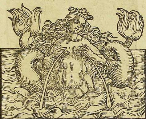 Alchemy Hand, Mermaid History, Tail Mermaid, Esoteric Art, Ancient Maps, Mermaids And Mermen, Vintage Mermaid, Sea Monsters, Medieval Art