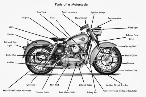 English Vocabulary: Vehicle Parts and Accessories 20 Motorcycle Knowledge, Car Anatomy, Bicycles Design, Beginner Motorcycle, Car Symbols, Custom Motorcycle Parts, Motorbike Parts, Riding Tips, Car Facts