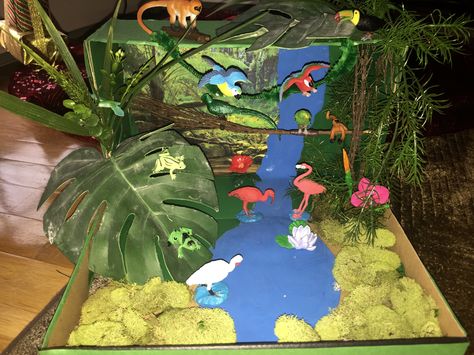 Tropical Rainforest Diorama Peacock Habitat, Flamingo Habitat, Ecosystems Diorama, Rainforest Diorama, Habitat Projects, Rainforest Preschool, Shoe Box Diorama, Habitat Diorama, First Grade Projects