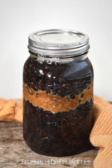 Fermented black soybeans Fermented Beans Recipe, Black Soy Beans Recipe, Black Soybean Spaghetti Recipes, Fermented Bean Paste, Fermented Soybeans, Fermented Black Beans, Global Market, The Culture, Black Beans