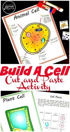 This free animal and plant cell worksheet, has children coloring in cell parts, cut and pasting them in the right cell, and finally comparing the cells. Perfect for Classical Conversations Science Cycle 1 Week 3. Science Cells, Cells Worksheet, Cell Parts, Plant Cells, Plant And Animal Cells, Cells Project, Cell Model, Cut And Paste Worksheets, Cells Activity