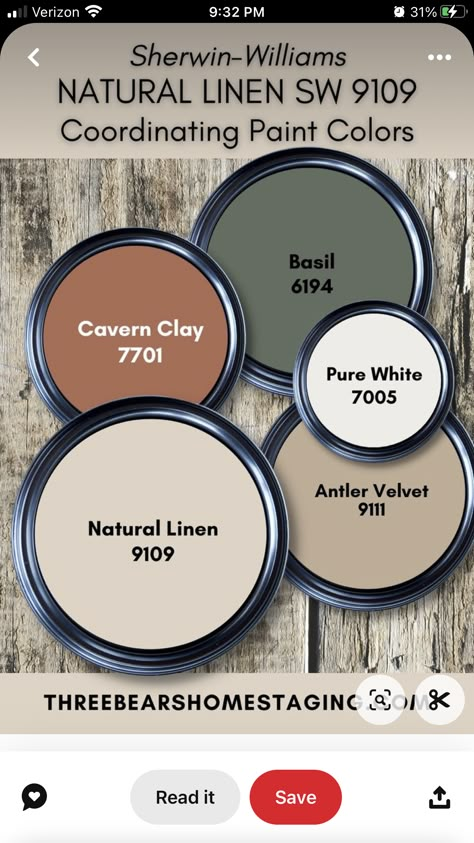 Lake Cabin Interior Paint Colors, Cabin Interior Wall Colors, Paint Themes For House, Cozy Cabin Color Scheme, Man Cave Paint Ideas Color Schemes, How To Pick Colors For Your Home, Rustic Home Paint Colors, Colors That Go With Copper, Western Wall Colors