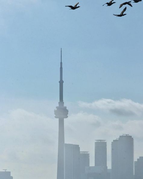 Smoggy City @todotoronto @weathernetwork Smoggy City, On Instagram, Quick Saves, Beauty, Instagram