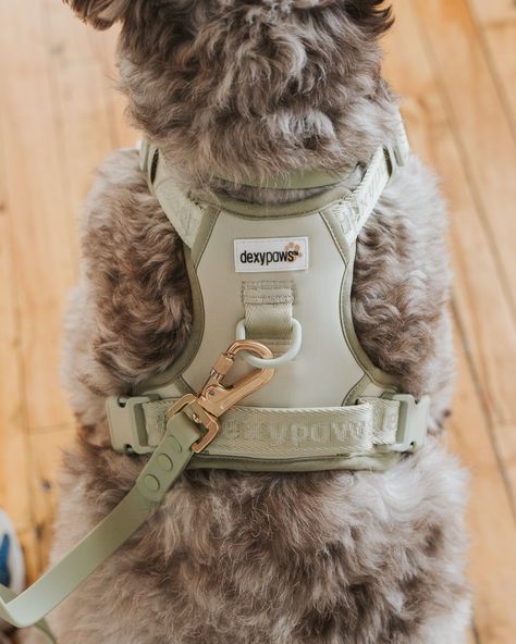 No Pull Dog Harness, Dog Accesories, Puppy Harness, Puppy Accessories, Dog List, Dog Essentials, Puppy Stuff, Dog Gear, Long Walks