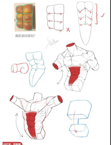 얼굴 드로잉, Human Anatomy Drawing, Body Drawing Tutorial, 100k Followers, Human Anatomy Art, Anatomy Sketches, Body Reference Drawing, Anatomy For Artists, Drawing Studies