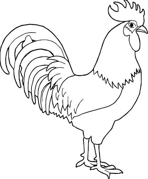 Chicken Coloring Pages, Rooster Images, Cartoon Rooster, Chicken Coloring, Chicken Drawing, Rooster Painting, Chicken Painting, Rooster Art, Free Adult Coloring Pages