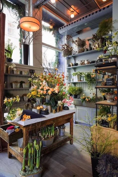 Flower Shop Display, Flower Shop Interiors, Flower Shop Decor, Flower Shop Ideas, Flower Shop Design, Roman And Williams, Arrangement Flower, Shop Displays, Flower Boutique