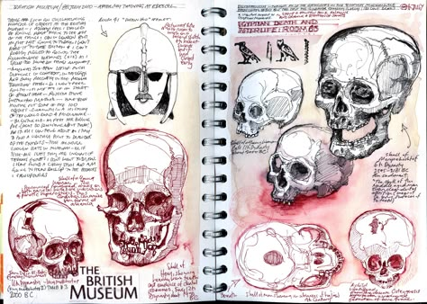 Drawing skulls in the British Museum. Duncan Cameron, Sketchbook Layout, Art Alevel, Gcse Art Sketchbook, A Level Art Sketchbook, Artist Sketchbook, The British Museum, Sketchbook Art Journal, Art Diary