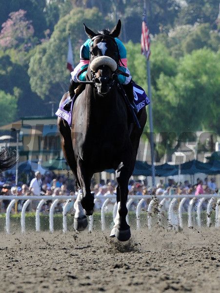 Jockey Mike Smith rides the amazing filly Zenyatta to the win in the Breeders' Cup Ladies Classic at Santa Anita October 24, 2008. Photo by Skip Dickstein Zenyatta Horse, Zenyatta Mondatta, Secretariat Horse, Mike Smith, Derby Horse, Thoroughbred Horse Racing, Breeders Cup, Famous Horses, Santa Anita