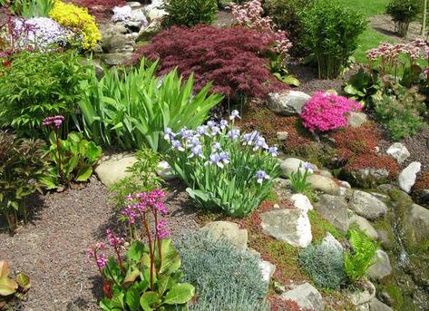 Rock Garden On Slope Backyard Rock Garden, Rockery Garden, Sloped Backyard, Rock Garden Plants, Rock Garden Design, Sloped Garden, Garden Arbor, Rock Garden Landscaping, Low Maintenance Garden