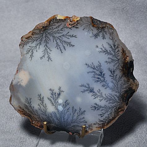 Dendritic agate is a whitish-gray or colorless chalcedony with tree- or fern-like markings known as dendrites. The dendrites in dendritic agate are iron or manganese inclusions, usually brown or black in color. Though they appear organic due to their fern-like structure, they are actually inorganic; they are formed at fine fracture surfaces through crystallization of weathered solutions of neighboring rock. Geode Stone, Material Things, Leaf Patterns, Geology Rocks, Sky Full, Falling Stars, Pretty Rocks, Beautiful Rocks, Dendritic Agate