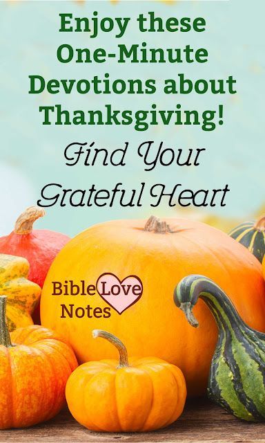 Enjoy these short 1-minute devotions that highlight different aspects of THANKSGIVING, both the attitude and the holiday. Thanksgiving Devotional Ideas, Devotions For November, Thanksgiving Devotions For Women, Thanksgiving Devotions For Kids, Devotion On Gratitude, Thanksgiving Devotional, Thanksgiving Devotions, Short Devotions, Short Verses