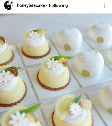 Mini Dome Cakes, Mini Entremet Recipe, Entrements Cake, Lemon Dome Dessert, Tiny Cakes Ideas, Mini Lemon Cakes With Glaze, Mousse Dome Desserts, Lemon Plated Dessert, Dome Desserts