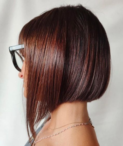 Blunt Hot Chestnut Bob Chestnut Auburn Hair, Hair Ideas For 2023, Red Brown Highlights, Dark Chestnut Hair, Brown Hair Ideas, Hair Color Brown Chestnut, Auburn Hair Color, Brown Hair Inspiration, Chestnut Brown Hair