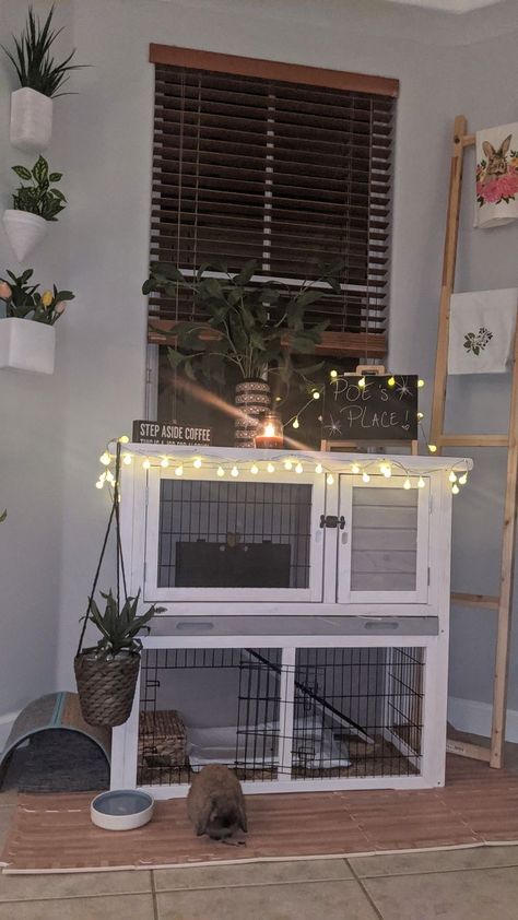 Outside Bunny Cages Diy, Cute Bunny Cages Indoor, Rabbit Cage Indoor Ideas, Cute Bunny House Ideas, Bunny Inside House, Cute Bunny Cage Ideas Indoor, Bunny Cage Decor, Freeroam Bunny Setup, Cute Rabbit Cage Ideas