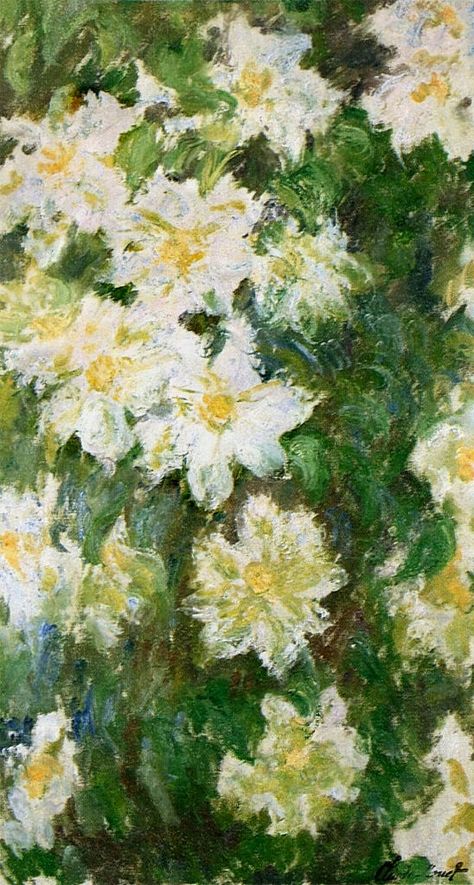 Artist Monet, White Clematis, Claude Monet Paintings, Plein Air Landscape, Monet Art, Mary Cassatt, Monet Paintings, Albrecht Durer, Camille Pissarro