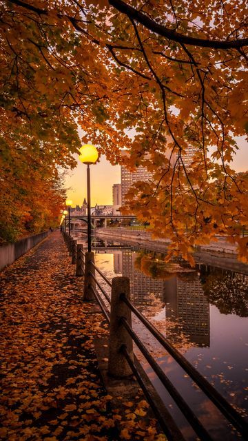 Ottawa Photography, Fall Painting Ideas, Canada Fall, 2024 Moodboard, Capital Of Canada, Ontario Travel, Fall Knitting, New England Fall, Fall Beauty