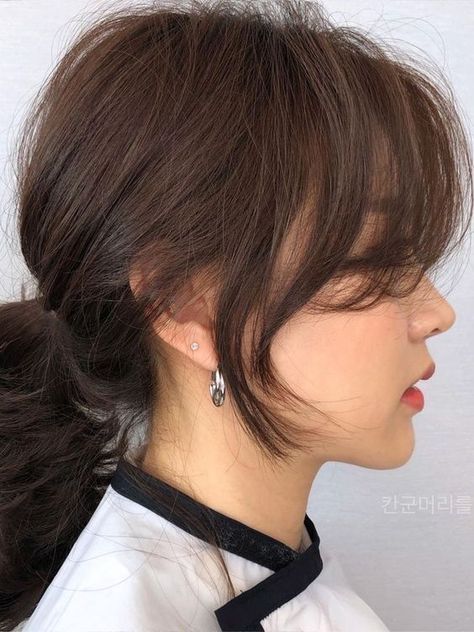 Korean Curtain Bangs, Long Hair Cuts Straight, Bangs Style, Bangs Styles, Side Bangs Hairstyles, Brown Hair Looks, Curly Short, Bangs With Medium Hair, Shoulder Hair