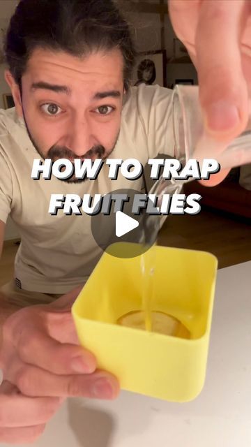 Armen Adamjan on Instagram: "How to trap fruit flies with just a few things from the kitchen! 😲🤩
.
.
.
.
#lifehacks #hacks #tipsandtricks #diy #howto #plants #planttips" Fruit Fly Spray Diy, How To Catch Fruit Flies In The House, Diy Fly Trap Indoor, Fruit Flies Get Rid Of, How To Get Rid Of Fruit Flies In House, Fly Trap Homemade, Fruit Fly Spray, Best Fruit Fly Trap, Catch Fruit Flies