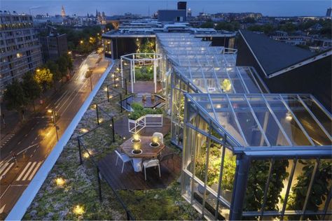 Zoku Amsterdam, Sustainable Apartment, Rooftop Terrace Design, Rooftop Design, Building Roof, Building A Pool, Green Architecture, Remote Workers, Rooftop Garden