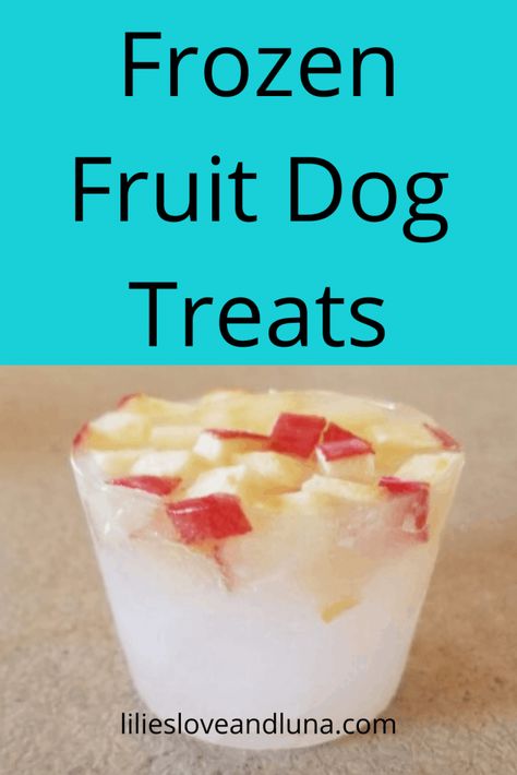 Frozen Fruit Treats for Dogs Fruit Dog Treats, Frozen Dog Treats Recipes, Dog Ice Cream Recipe, Frozen Dog Treats Homemade, Fruit Treats, Pet Treats Recipes, Easy Dog Treat Recipes, Frozen Dog Treats, Frozen Pumpkin