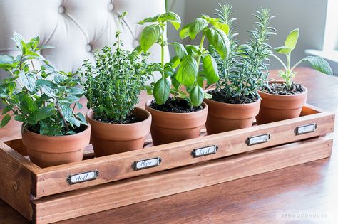 Herb Garden Boxes, Indoor Herb Garden Diy, Herb Planter Box, Window Herb Garden, Jardim Diy, Herb Garden In Kitchen, نباتات منزلية, Diy Herb Garden, Herb Planters