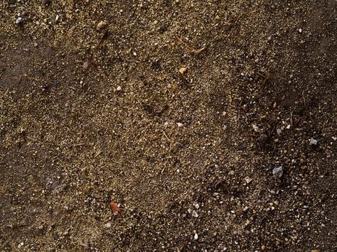 Top view fresh organic soil Free Photo | Free Photo #Freepik #freephoto #texture #nature #organic #field Sand Paint Color, Texture Nature, Wax Photos, Earth Texture, Soil Texture, Vector Frame, Green Giant, Seed Bank, Organic Soil