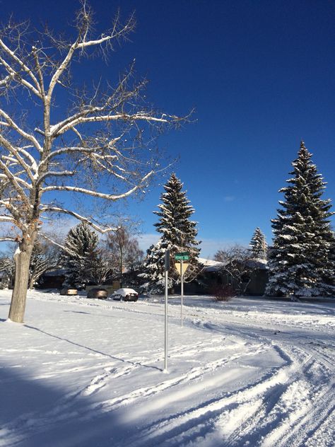 #Calgary in #Winter #beautiful #Canada Calgary Snow, Calgary Winter, Beautiful Canada, Calgary Canada, Indie Rock, Calgary, Small Towns, Lake, Film