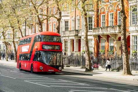 The Number 11, London Sightseeing, Decker Bus, Number 11, Trafalgar Square, Double Decker Bus, Bus Travel, London Bus, The City