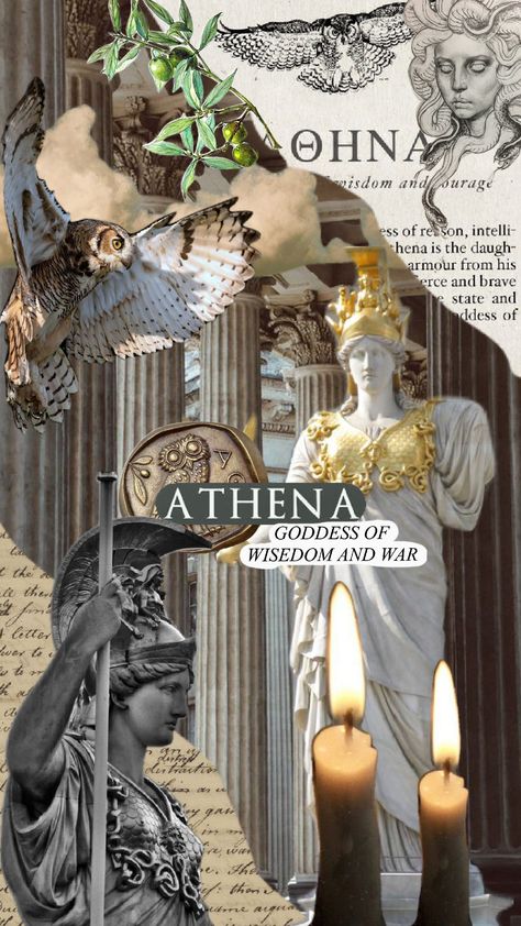 #athena Atsv Oc, Athena Core, Athena Wallpaper, Athena Aesthetic, Athena Goddess Of Wisdom, Goddess Of Wisdom, Wise Girl, Animals Photography, Products Photography