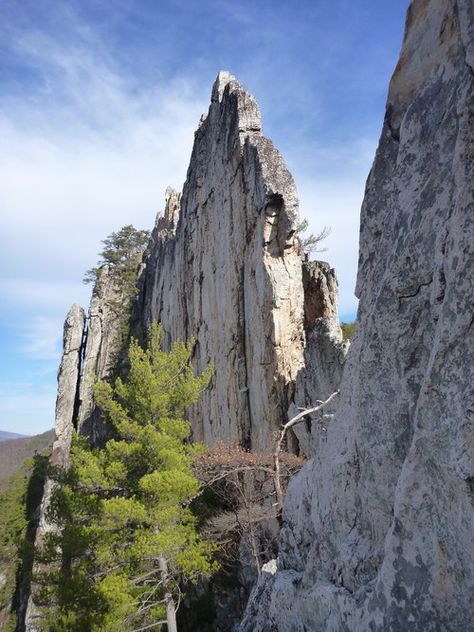 Seneca Rocks, West Virginia Mountains, West Virginia Travel, Virginia Mountains, Fire Breather, Virginia Travel, Motorcycle Pictures, North America Travel, Hiking Trip