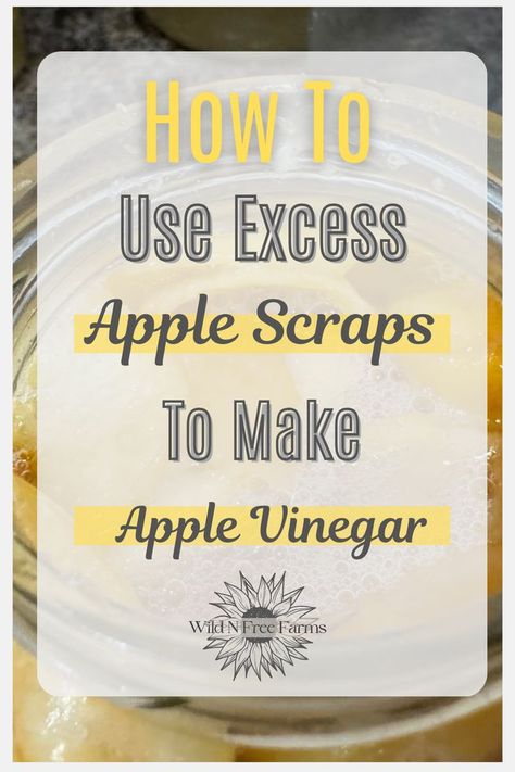 apple cider vinegar from apple scraps How To Make Apple Cider Vinegar Homemade, Apple Cider Vinegar Homemade, Homemade Acv, Diy Apple Cider Vinegar, Apple Scraps, Make Apple Cider, Diy Apple Cider, Making Apple Cider, Make Apple Cider Vinegar