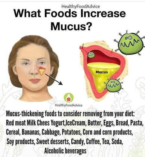 Getting Rid Of Mucus, Food Advice, Healthy Herbs, Soy Products, Knowledge Facts, Natural Cold Remedies, Natural Health Remedies, Food Facts, Natural Home Remedies